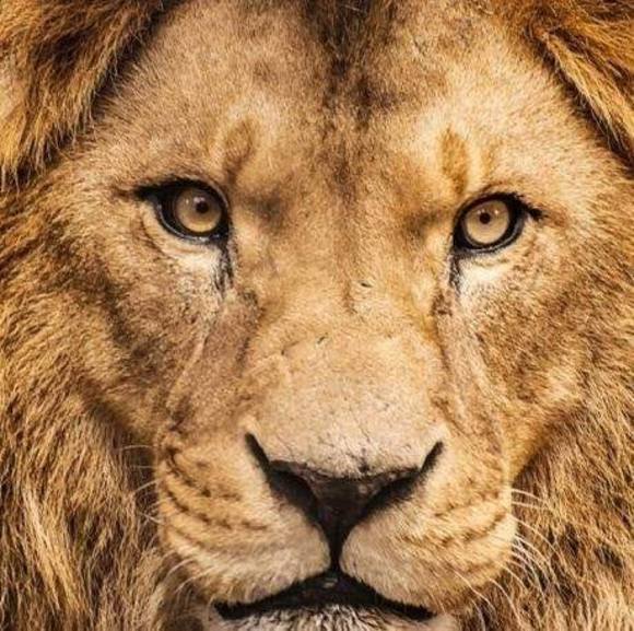 Meet your Posher, Rick - Picture 1 of 1